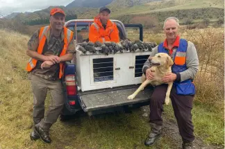  ?? ?? Rayza, Marty and Fizz are all smiles as the total bag comes to 30 quail after a most satisfying day