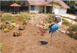  ?? KAREN PEARLMAN U-T ?? Part of the revamped garden at Wood’s home in Rancho San Diego, which won her a prize from Otay Water District.