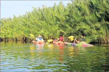  ?? POST STAFF ?? Slek Chak can be found growing along rivers in Kampot province.