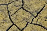  ?? ALLEN J. SCHABEN/ LOS ANGELES TIMES/ TNS ?? A tiny plant struggles to emerge from a cracked, dry lake bed in California.