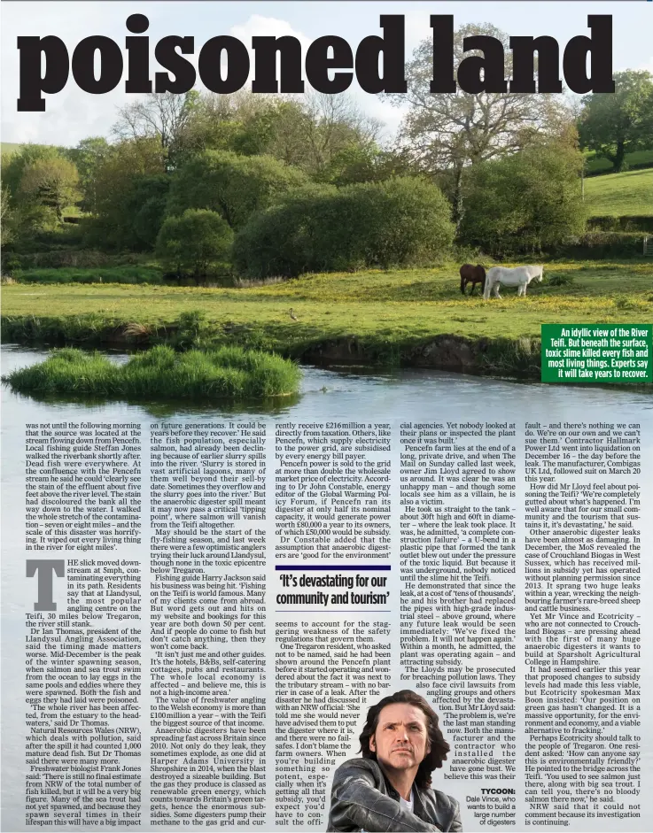  ??  ?? Dale Vince, who wants to build a large number of digesters An idyllic view of the River Teifi. But beneath the surface, toxic slime killed every fish and most living things. Experts say it will take years to recover. TYCOON: