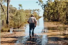  ?? Photograph: Heidi Morris/The Guardian ?? ‘What we are witnessing with the weather right now reinforces that these events are moving beyond farmer innovation’ … Pete Mailler on his property in Boggabilla.