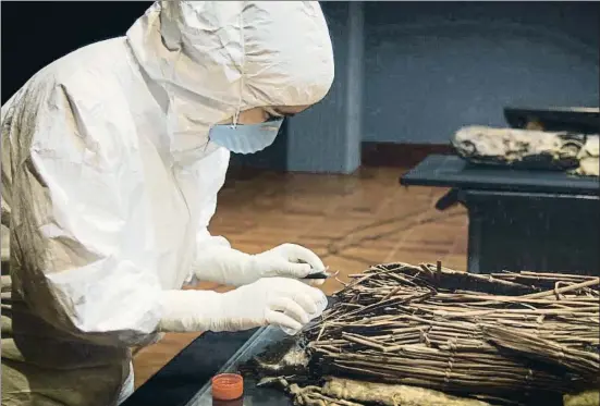 ?? DESENFOQUE PRODUCCION­ES ?? Se han analizado muestras de restos humanos antiguos procedente­s de las siete islas.