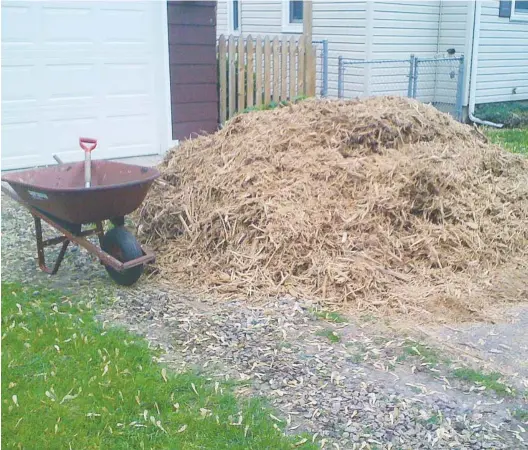  ?? JOE HOOVER ?? Top up the mulch layer to between 7 and 10 cm deep where it has become sparse with some post peelings, bark, coarse peat, compost or other organic options.