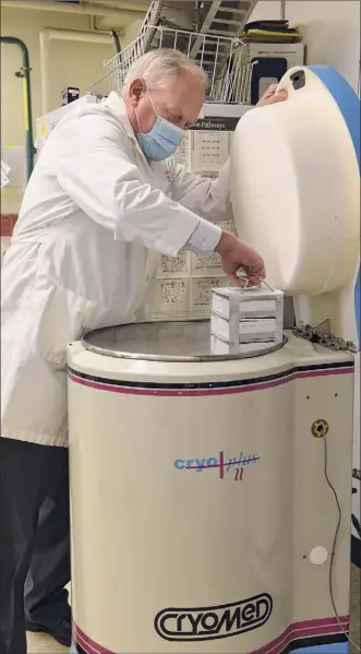  ?? Lori Van Buren / Times Union ?? Dennis Metzger, chairman of Albany Medical Center’s immunology and microbial disease department, is seen in his laboratory at the medical center.