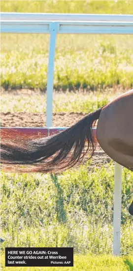  ?? Pictures: AAP ?? HERE WE GO AGAIN: Cross Counter strides out at Werribee last week.