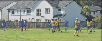  ?? 01_B20AHCfina­l04 ?? Southend players rush to congratula­te Donny Park after his goal,