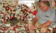  ?? DIGITAL FIRST MEDIA FILE PHOTO ?? Over the years, Bill Sharon rescued many cats and took some of them into his home.