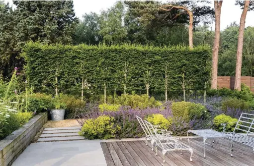  ??  ?? Above The terrace, which adjoins the indoor swimming pool, is made of iroko and limestone. Contempora­ry stepping stones lead to a gravel path, which is edged with a mix of herbs and soft planting, including Nepeta racemosa ‘ Walker’s Low’, Alchemilla...