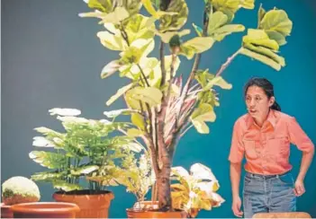 ??  ?? ► En agosto, el Teatro UC reestrenar­á Estado vegetal de Manuela Infante.