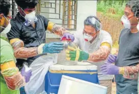  ?? PTI ?? Officials put a bat, removed from the well of a house, in a container in Kozhikode on Monday.