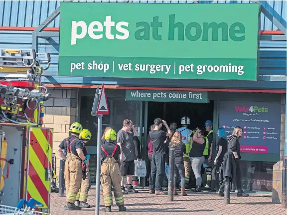  ?? Pictures: Kenny Smith. ?? Animals from the neighbouri­ng Pets at Home shop were rescued and homed at other outlets.