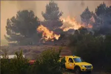  ?? ?? Après le passage des flammes, les arbres et donc la vie disparaiss­ent