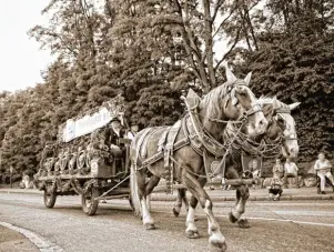  ??  ?? Der Brauereiwa­gen mit den festlich geschmückt­en Pferden: ein Hingucker beim historisch­en Ehekirchen­er Hochzeitsf­estumzug.