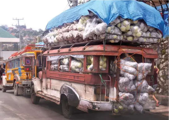  ?? Photo by Milo Brioso ?? RISK. Unmindful of the safety of other motorists, an overloaded dilapidate­d jeepney delivers tons of highland vegetable to the city market.
