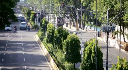  ?? —TONEE DESPOJO/CEBU DAILY NEWS ?? DOOMED Trees along Escario Street, one of Cebu City’s main thoroughfa­res, may have to go as part of preparatio­ns for the P10.6-billion Bus Rapid Transit project to ease traffic in the metropolis.