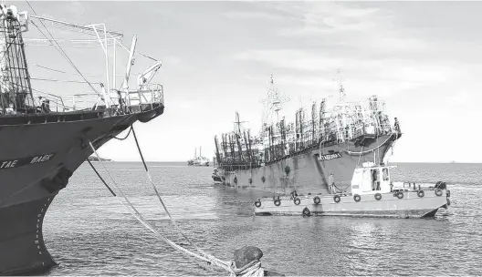  ?? GENTILEZA DE GUILLERMO BURGOS ?? El delegado Guillermo Burgos manifestó que Puerto Rosales es un nodo atlántico de servicios. La actividad portuaria sigue creciendo mes a mes.