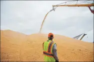  ?? BLOOMBERG VIA GETTY IMAGES ?? A worker monitors corn being loaded into an outdoor storage bunker at the Michlig Grain LLC elevator in Sheffield, Illinois, on Oct 2.