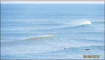  ??  ?? DIFFERENT KINDS OF RISKS: Surfers catch a ride as a shoal of sardines passes by on Saturday. There were fears of shark attacks