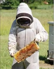  ?? Janelle Jessen/Herald-Leader ?? Lynn Paskiewicz holds a frame from one of her hives. See more stories about local hobby farms on page 3B.