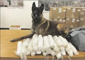  ??  ?? AFTER YCSO K-9 JAX ALERTED to the pickup truck, deputies searched the vehicle and found a total of 25 packages of methamphet­amine, which had a combined weight of 25.58 pounds and an estimated street value of more than $232,000.