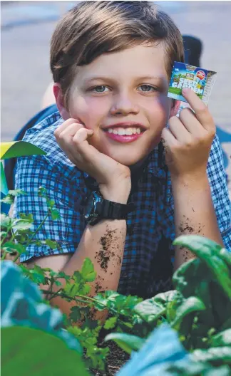  ?? Picture: EVAN MORGAN ?? Jack McCosker, 11, in his school's vegetable garden is only too happy to get some dirt on his hands in the pursuit of growing veges and herbs.