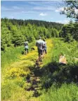  ?? FOTO: LANDRATSAM­T TUTTLINGEN ?? Wandern ist fast überall erlaubt, fahren und reiten nicht.