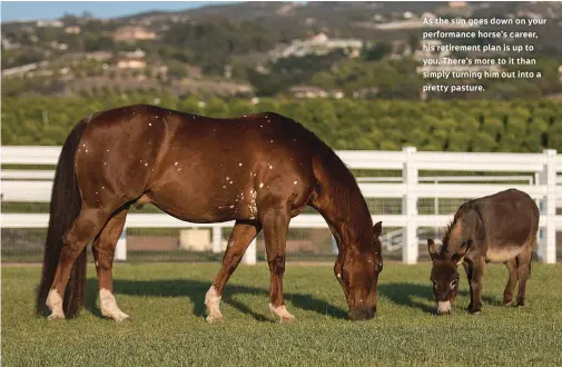  ??  ?? As the sun goes down on your performanc­e horse’s career, his retirement plan is up to you. There’s more to it than simply turning him out into a pretty pasture.