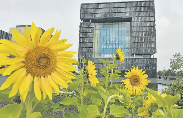  ??  ?? Sunflowers grow in front of the headquarte­rs of German steel giant Thyssenkru­pp in Essen, Germany.
