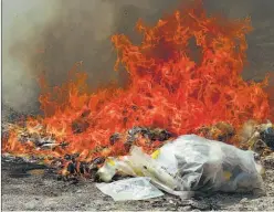 ??  ?? Destruida. La mayor cantidad de droga quemada en un predio baldío en Changallo, Ilopango, era marihuana.