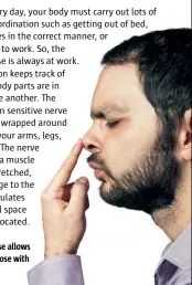  ??  ?? The kinaesteti­c sense allows you to touch your nose with your eyes closed.