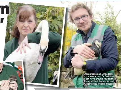  ??  ?? Aaron Goss and Linda Bass - the area’s own Dr Dolittles - each have around 100 animals living at their homes as part of Cleethorpe­s Wildlife Rescue.