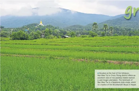  ??  ?? Situated at the foot of Doi Inthanon, Ban Mae Tia in Chom Thong district offers an excellent view of rice paddies hidden behind a vast longan plantation. The landmark of Ban Mae Tia is a Nepalese style stupa, which is a replica of the Boudhanath Stupa...
