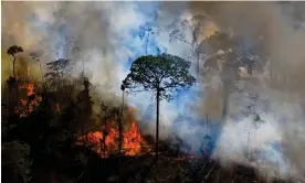  ?? Photograph: Carl de Souza/AFP/Getty Images ?? Illegal fires in the Amazon rainforest reserve in Pará state, Brazil, 2020.