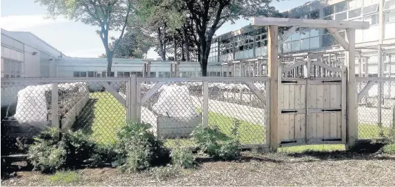  ??  ?? > The ‘urban farm’ at Don Mills Collegiate Institute, a high school of 1,000 pupils in Canada which was visited by Welsh head teachers