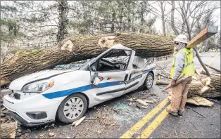  ?? AP PHOTO ?? An electrical worker walks by a damaged vehicle on in Bryn Mawr, Pa., on Sunday that was crushed by a falling tree on Friday. The driver was able to climb out the window and received several stitches for his injuries.