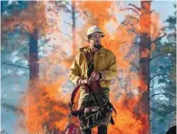  ?? ?? James Casaus of the Coyote Ranger District in Santa Fe National Forest was the fire management officer for a recent winter burn.