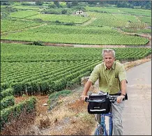  ?? Rick Steves’ Europe/RICK STEVES ?? Biking through the world-famous vineyards of Burgundy’s Cote d’Or can be intoxicati­ng.