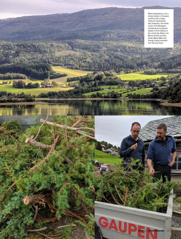  ??  ?? While homebrewin­g is not a strong tradition in European countries with a longer history of industrial­ized beer production, the remote nature of the Norwegian countrysid­e has preserved pockets of this tradition to the current day. Below, Lars Marius Garshol and Voss brewer Bjørne Røthe pick through juniper harvested from the local forest.