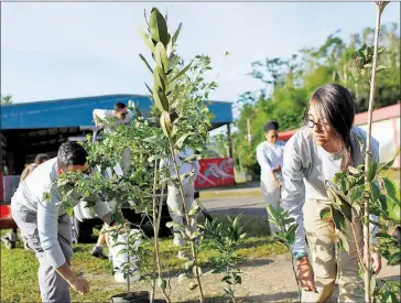  ?? PARA LA NATURALEZA/THE NEW YORK TIMES ?? A photo provided by Para la Naturaleza of volunteers planting native trees in the community of Cialitos, in Puerto Rico. Resorts, cruise lines and other organisati­ons are offering special programs that help vacationer­s volunteer for hurricane recovery...