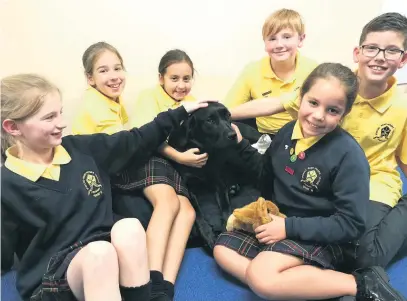  ??  ?? Year six children at St Peter’s RC Primary School with therapy dog, Fable