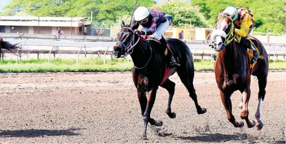  ?? FILE ?? AZARIA (left) ridden by Oshane Nugent, finishes ahead of CONTRACTOR, ridden by Aaron Chatrie at Caymanas Park on Saturday, February 1.