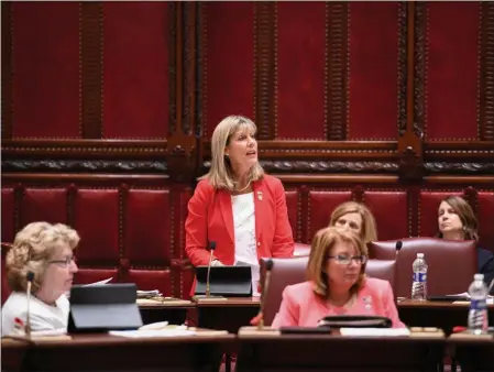  ?? NY SENATE PHOTO/FILE ?? State Sen. Daphne Jordan, R-Halfmoon, speaks in Albany.