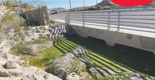  ?? MIGUEL LIMÓN/EL HERALDO DE JUÁREZ ?? La fuga
de aguas negras pone en riesgo la salud de personas y fauna en ambos lados de la frontera