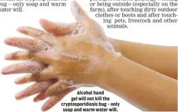  ??  ?? Alcohol hand gel will not kill the cryptospor­idiosis bug – only soap and warm water will.