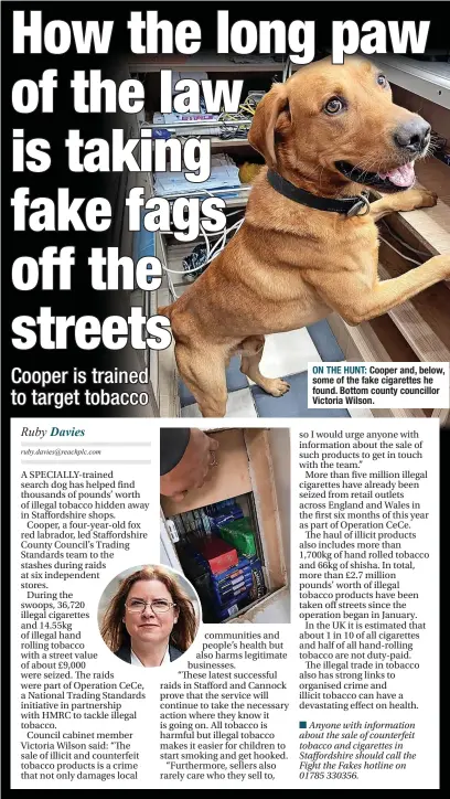  ?? ?? ON THE HUNT: Cooper and, below, some of the fake cigarettes he found. Bottom county councillor Victoria Wilson.