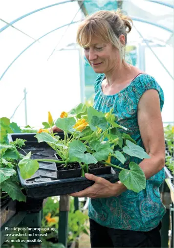  ??  ?? Plastic pots for propagatin­g are washed and reused as much as possible.