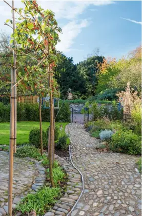  ??  ?? Behind the house, a circular cobbled feature is ringed by pleached crab apples, which provide colour in spring and autumn. At this time of year, tiny bundles of their tart fruit proclaim their rich hues.