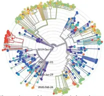  ??  ?? The mutation rate of the coronaviru­s is slower than that of the common flu.