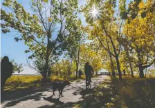  ?? AZIN GHAFFARI ?? Getting out into the woods — for a long walk or for a few hours in the forest — can work wonders to restore mood, energy and vitality.